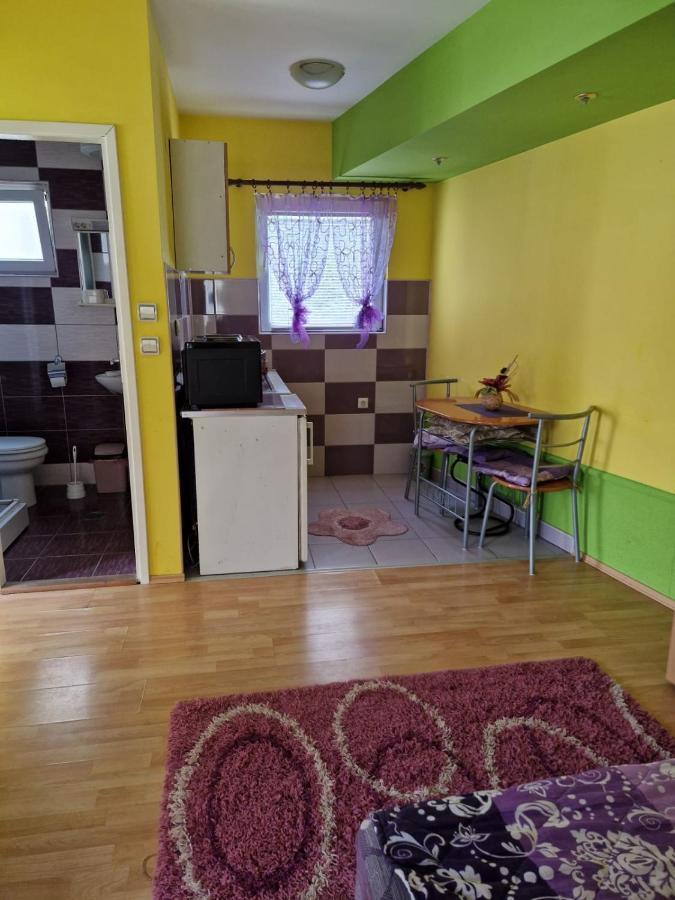 Apartments Hadzi 索科矿泉村 外观 照片