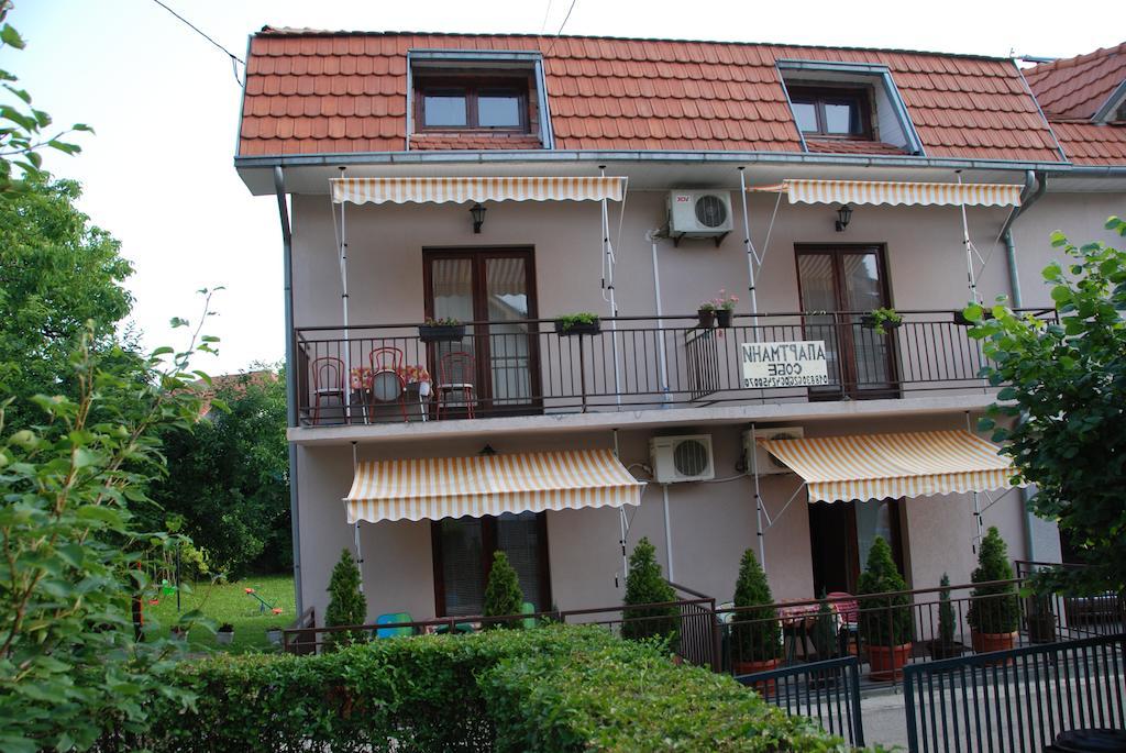 Apartments Hadzi 索科矿泉村 外观 照片