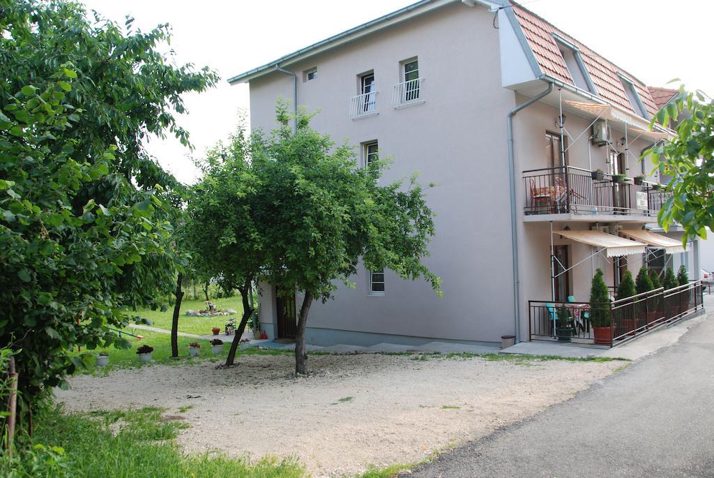 Apartments Hadzi 索科矿泉村 外观 照片