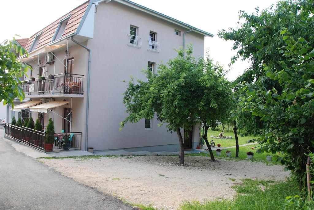 Apartments Hadzi 索科矿泉村 外观 照片